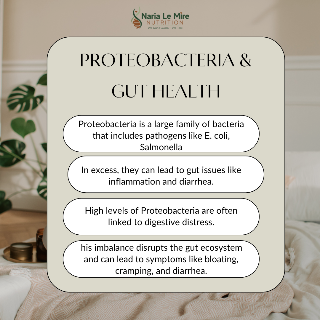 What is Proteobacteria & Why Does it Matter for Gut Health?