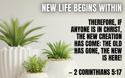 New Life Begins Within