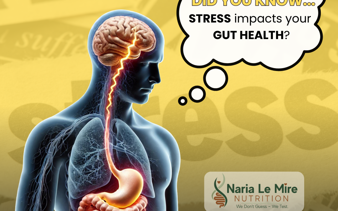 STRESSED OUT? YOUR GUT FEELS IT TOO! 