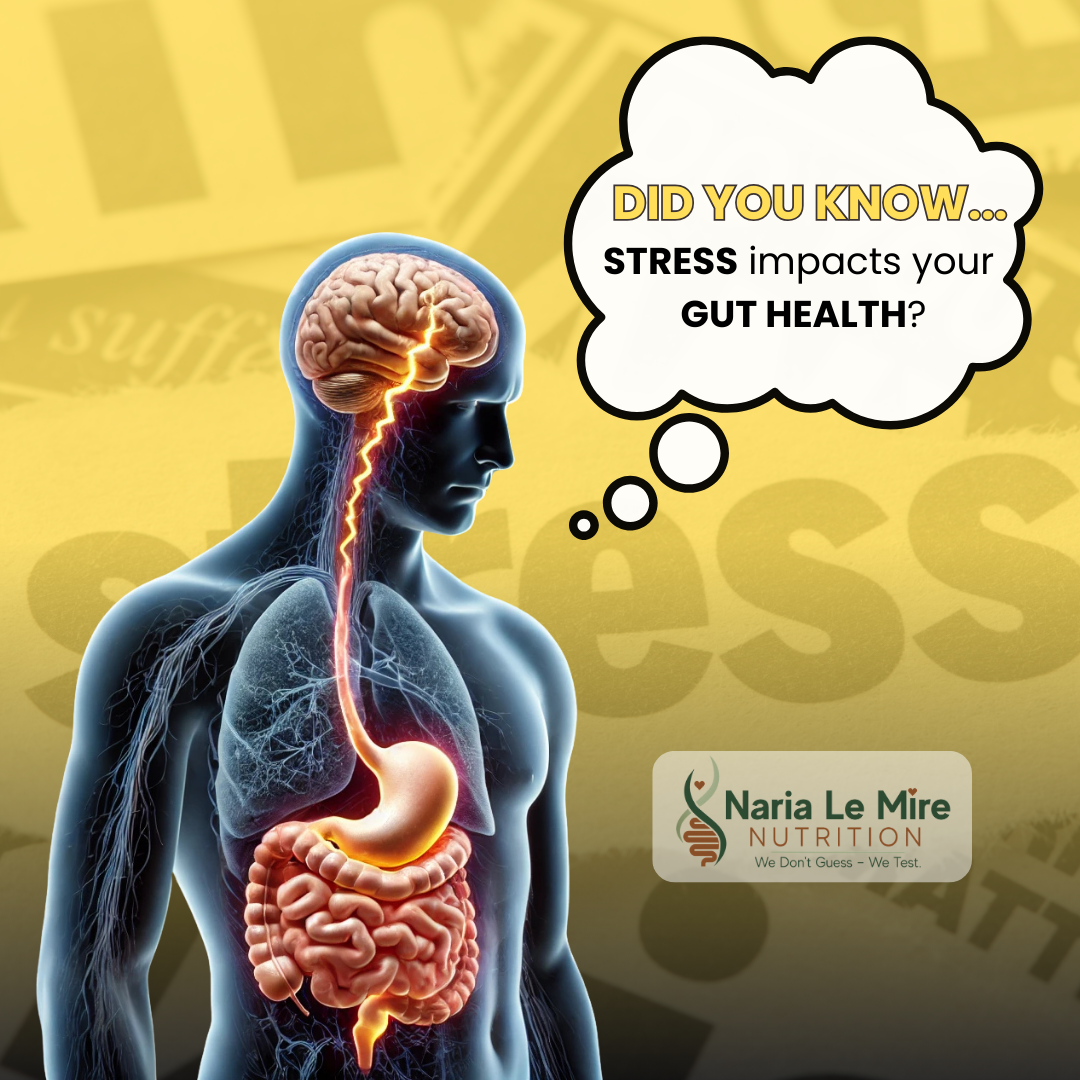 Did you know that stress doesn’t just mess with your mind—it impacts your gut, too?