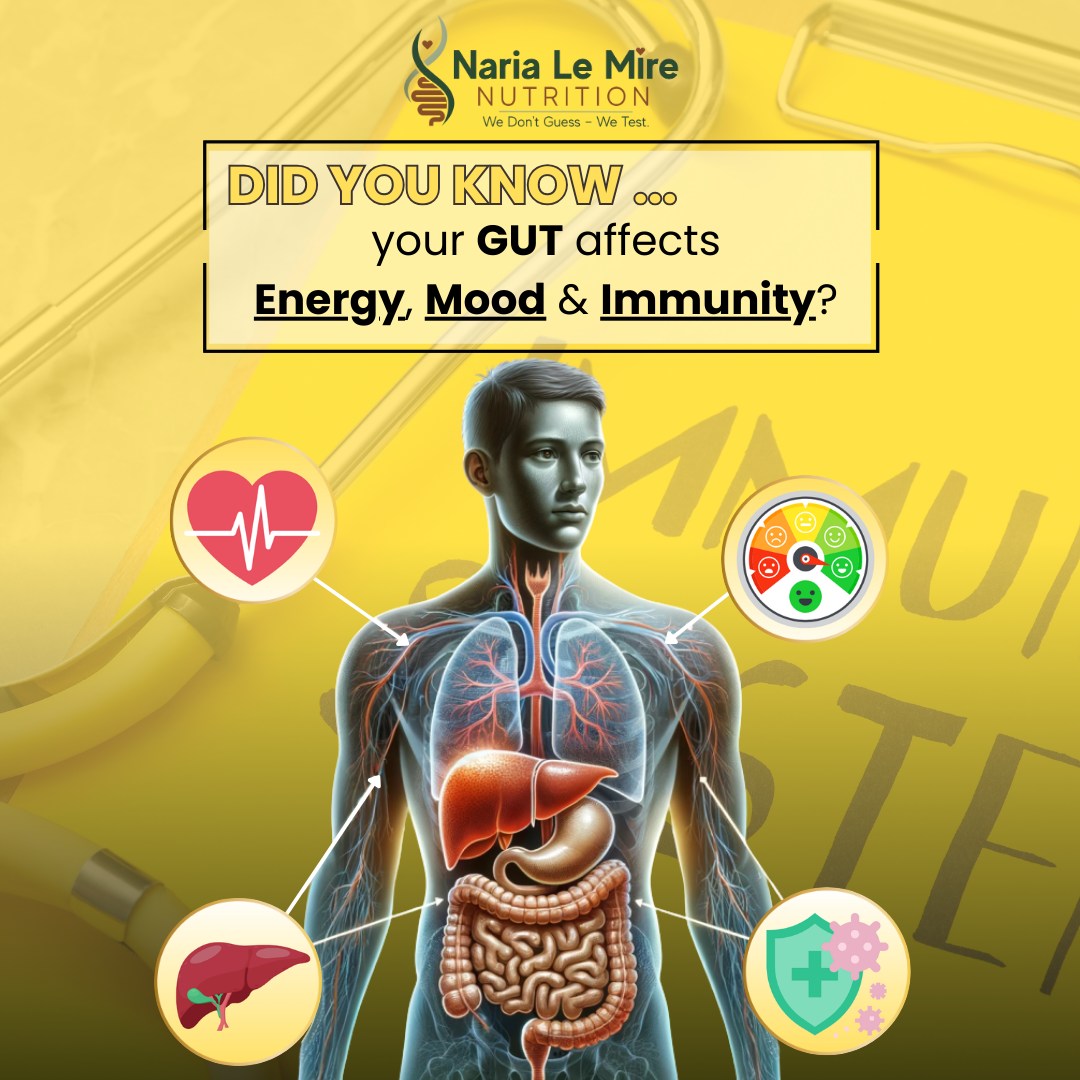  SECRET OF GUT HEALTH : WHY IT MATTERS